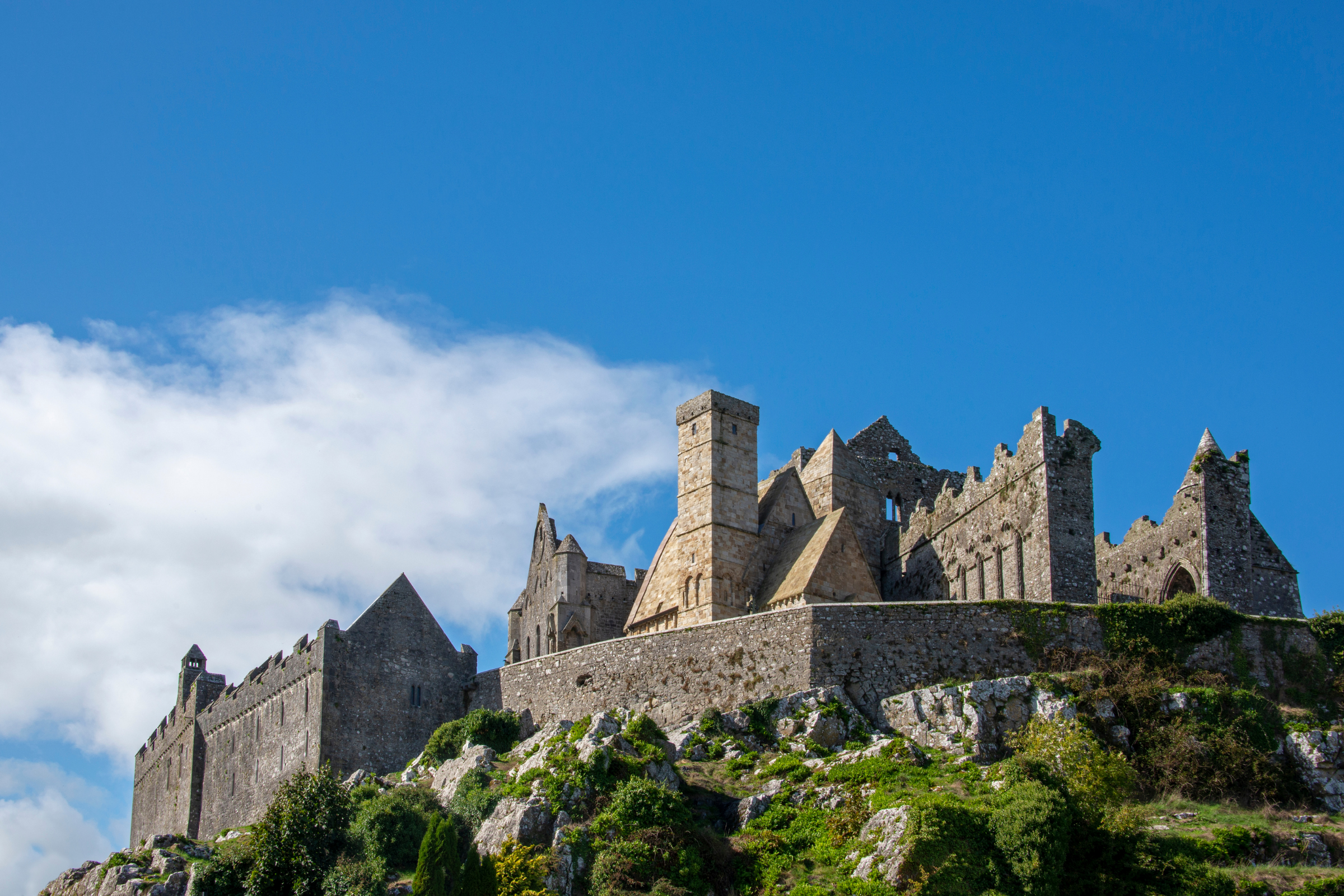 cashel (4).webp